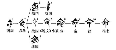 命 意思|细说汉字：命